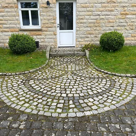 Belina Im Thueringer Wald *