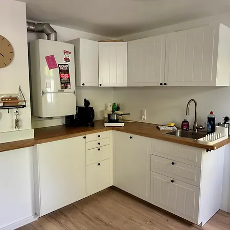 Belina Im Thueringer Wald *