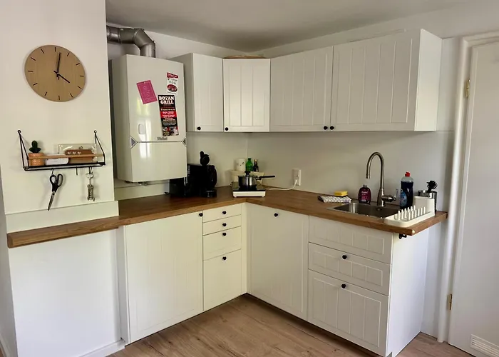 Belina Im Thueringer Wald *